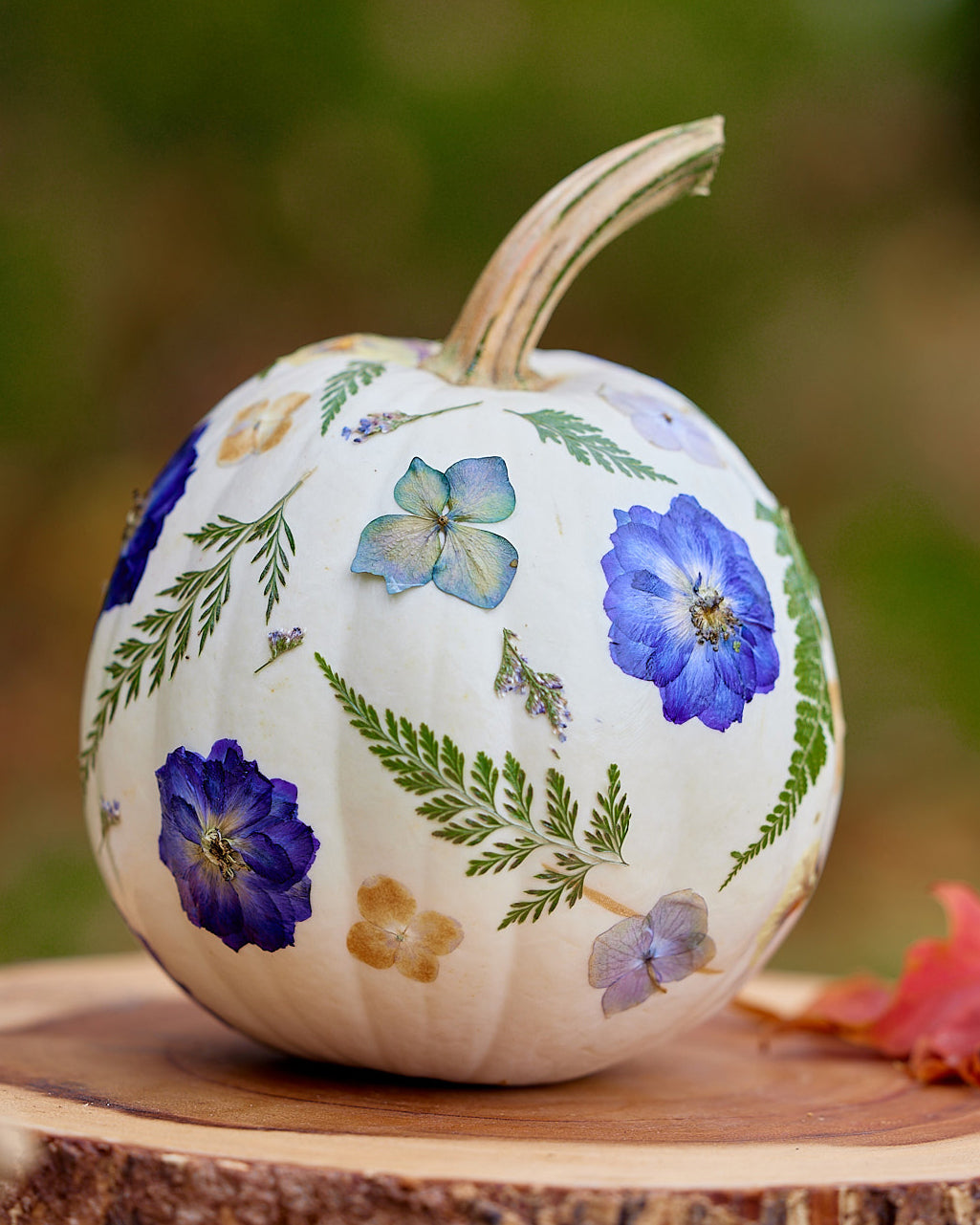 Pressed Petal Pumpkin - Sunday October 20th, 2024