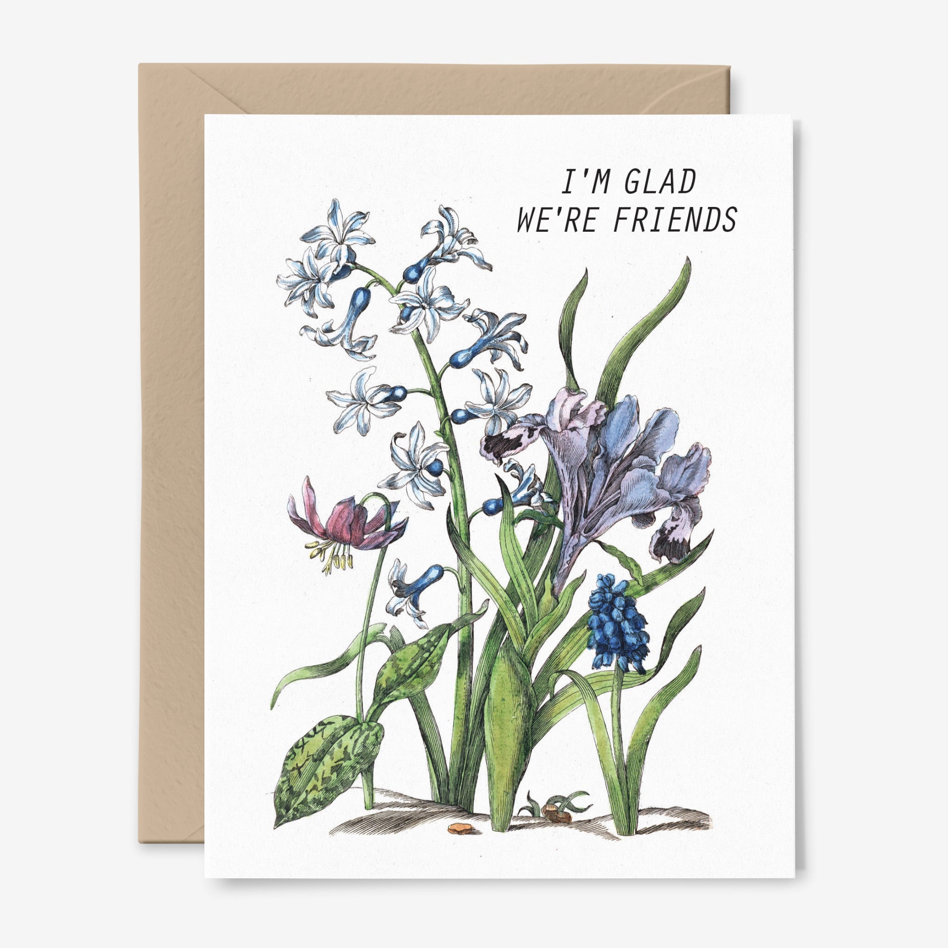 I'm Glad We're Friends | Thank You Card | Botanical Art