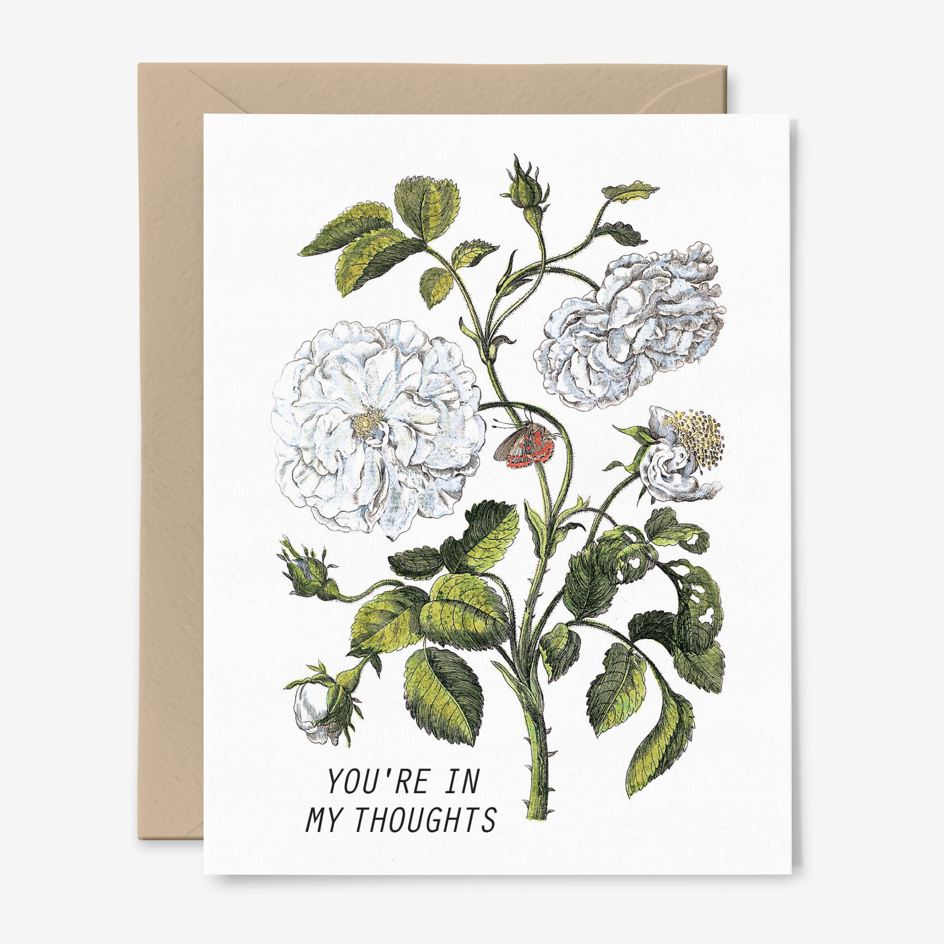 You're In My Thoughts | Botanical Sympathy Card | Floral