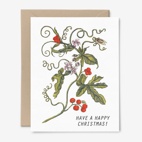 Have a Happy Christmas Card | Holiday Card | Botanical Art