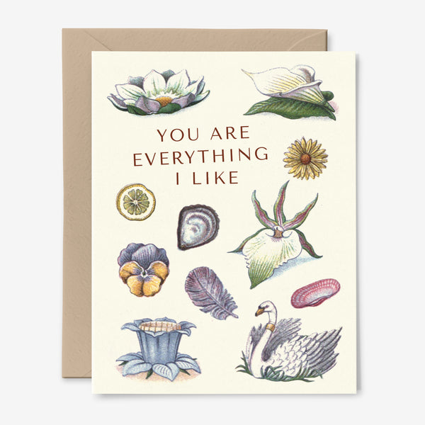 You Are Everything I Like | Collage | Friendship Card