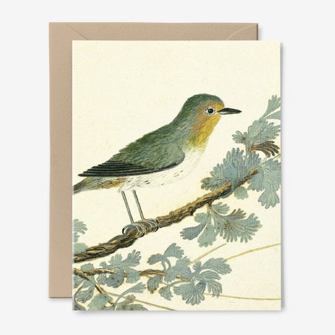 Bird Branch Card | Any Occasion | Vintage Art