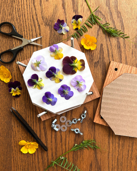 Intro to Flower Pressing - Saturday June 1st, 2024