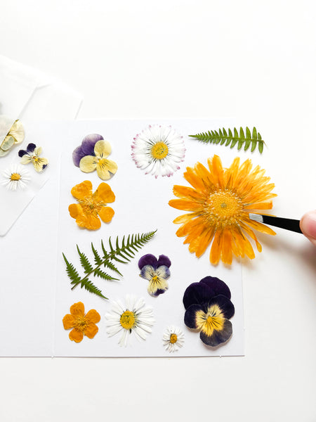 DIY Pressed Flower Card Kit