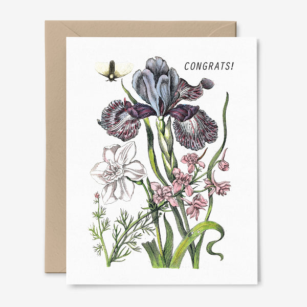 Congrats! | Botanical Celebration Card
