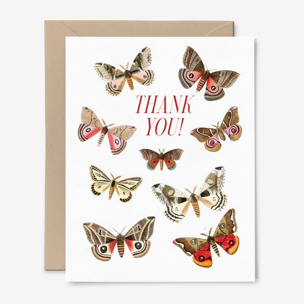 Moths | Thank You Card