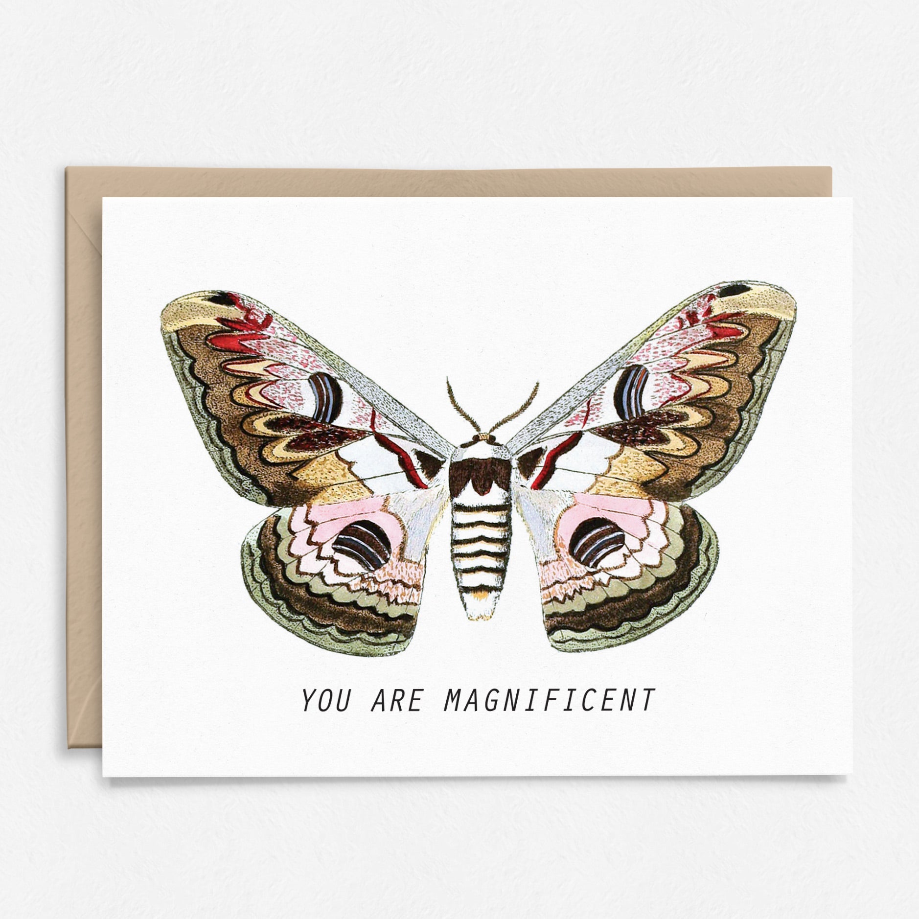 You Are Magnificent | Moth Thank You Card